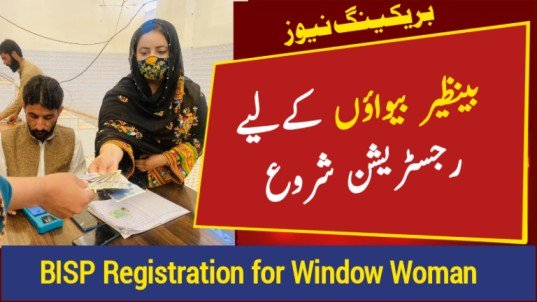 BISP 8171 Registration Restart For Widow Women