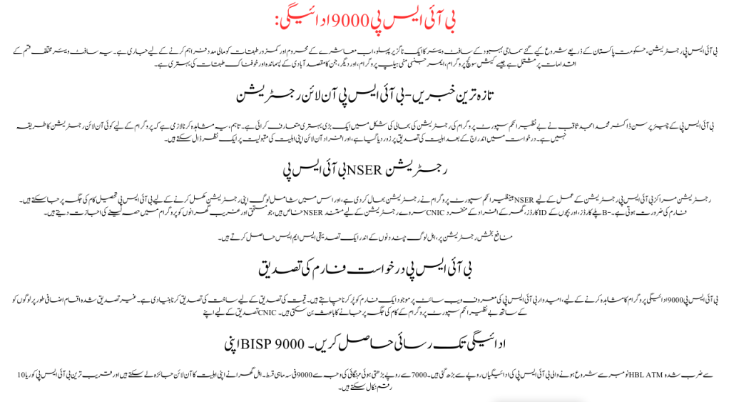 BISP 9000 Payment